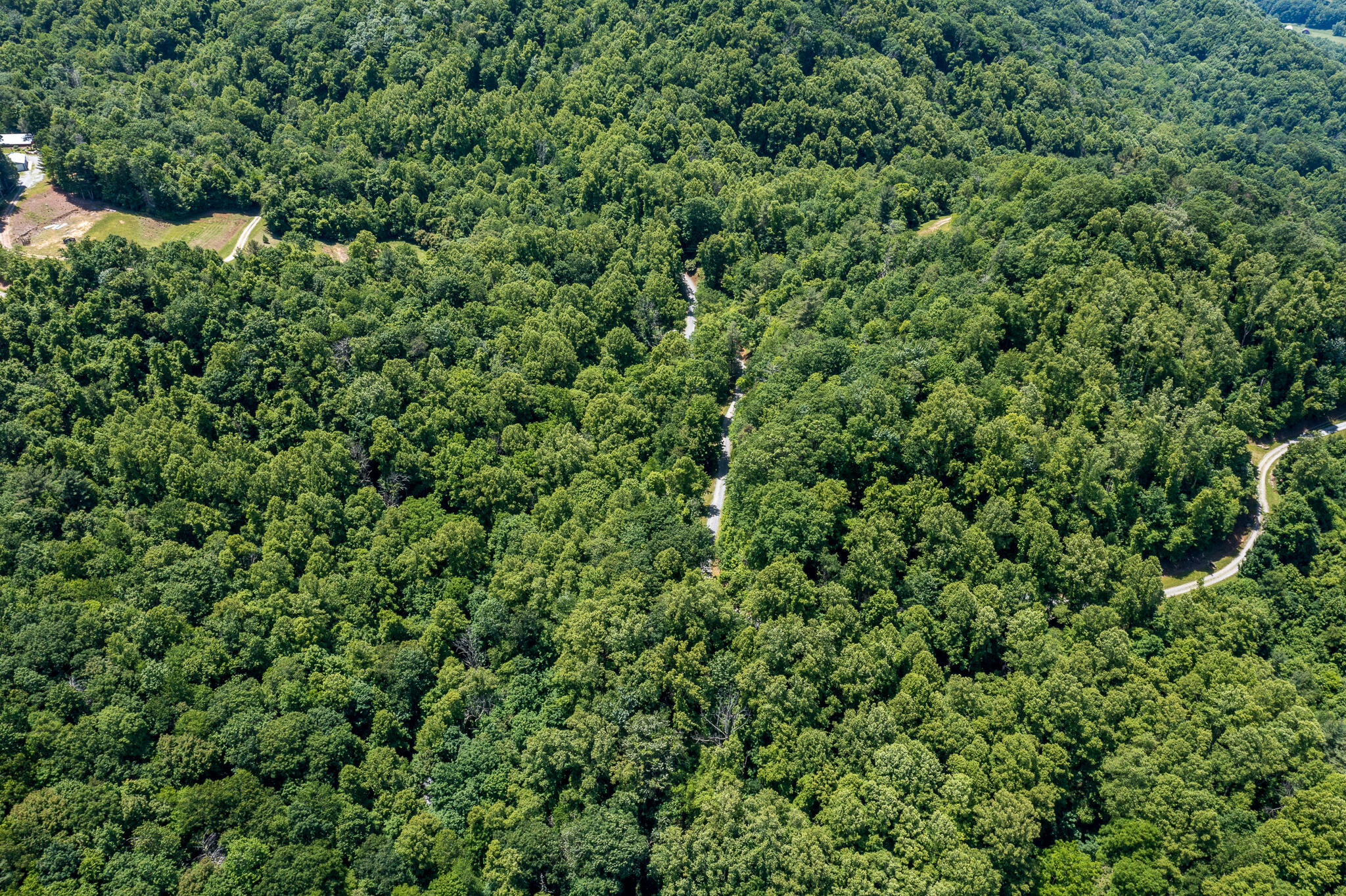 Lot 1 Ridgetop Lane, Unicoi, Tennessee image 8