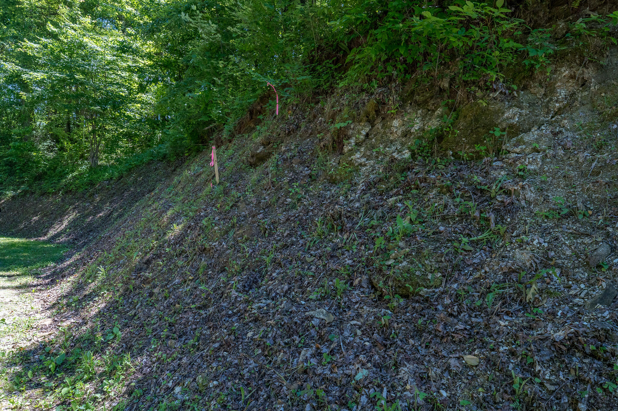 Lot 1 Ridgetop Lane, Unicoi, Tennessee image 31