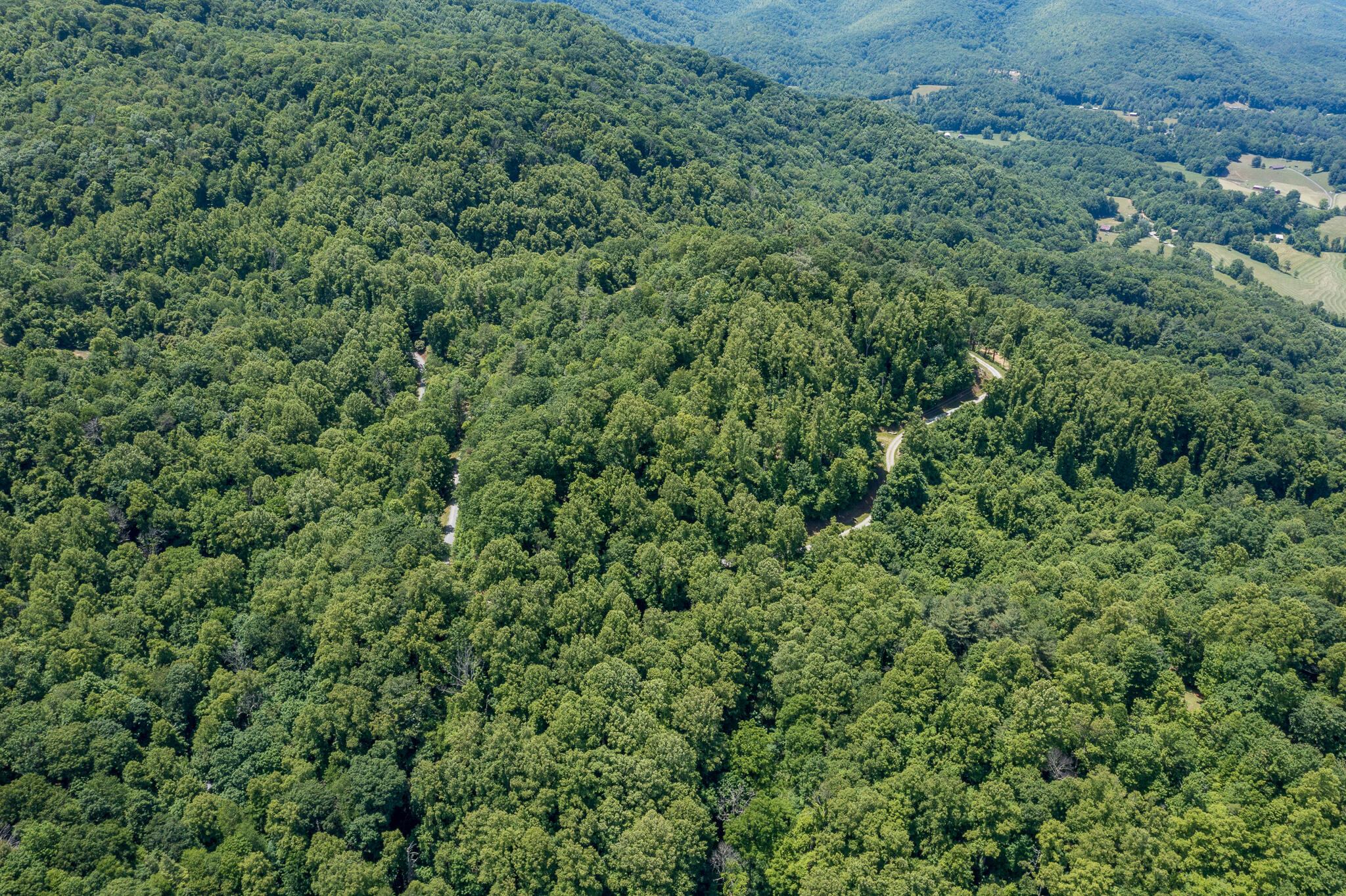 Lot 1 Ridgetop Lane, Unicoi, Tennessee image 14