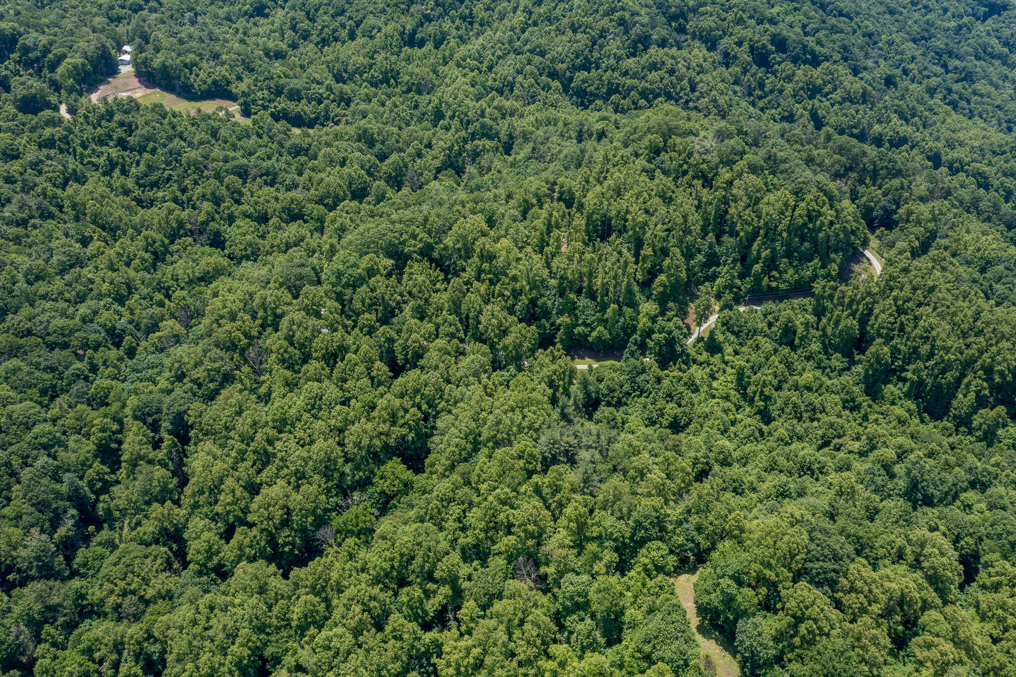 Lot 1 Ridgetop Lane, Unicoi, Tennessee image 16