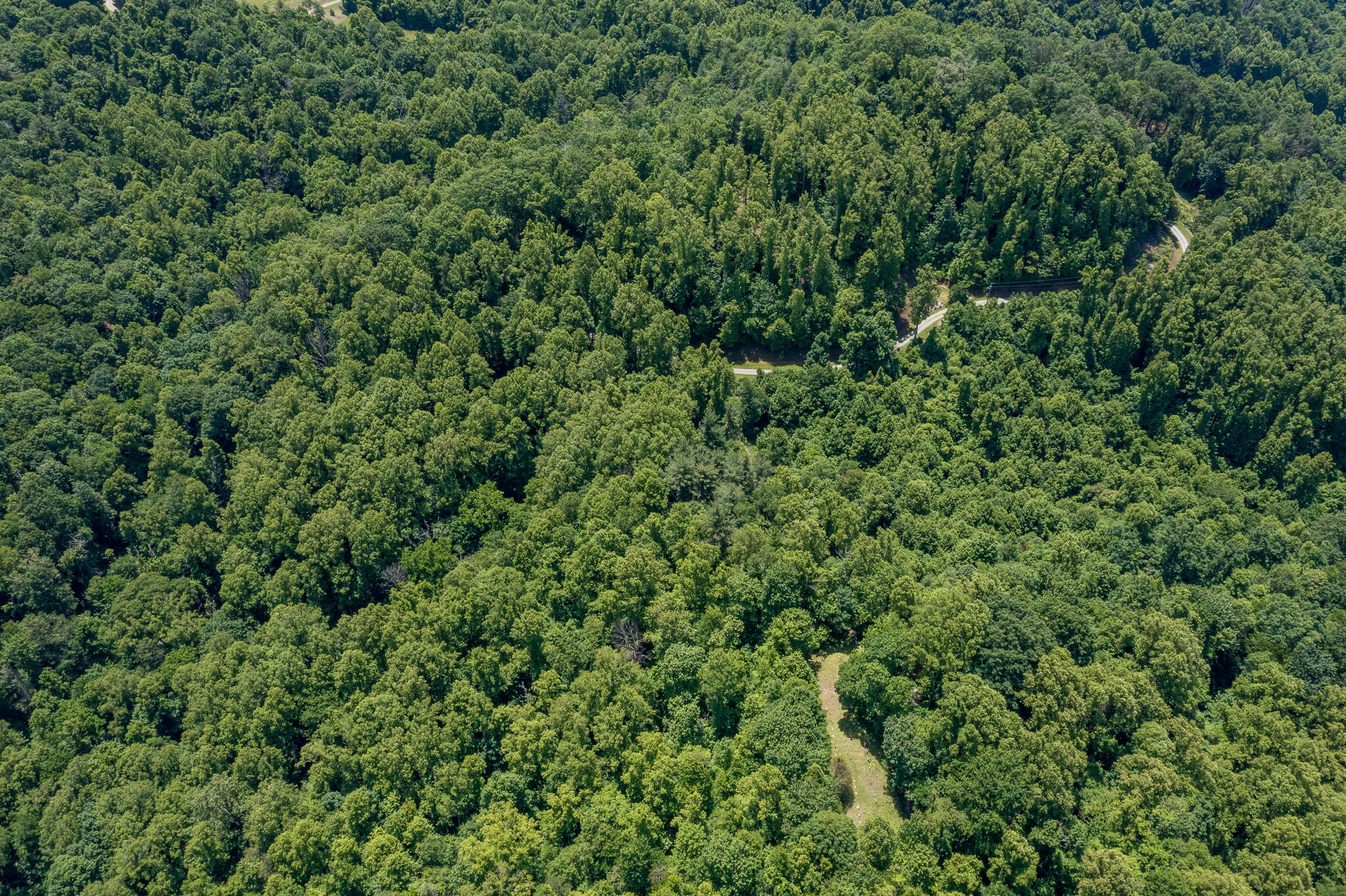Lot 1 Ridgetop Lane, Unicoi, Tennessee image 17