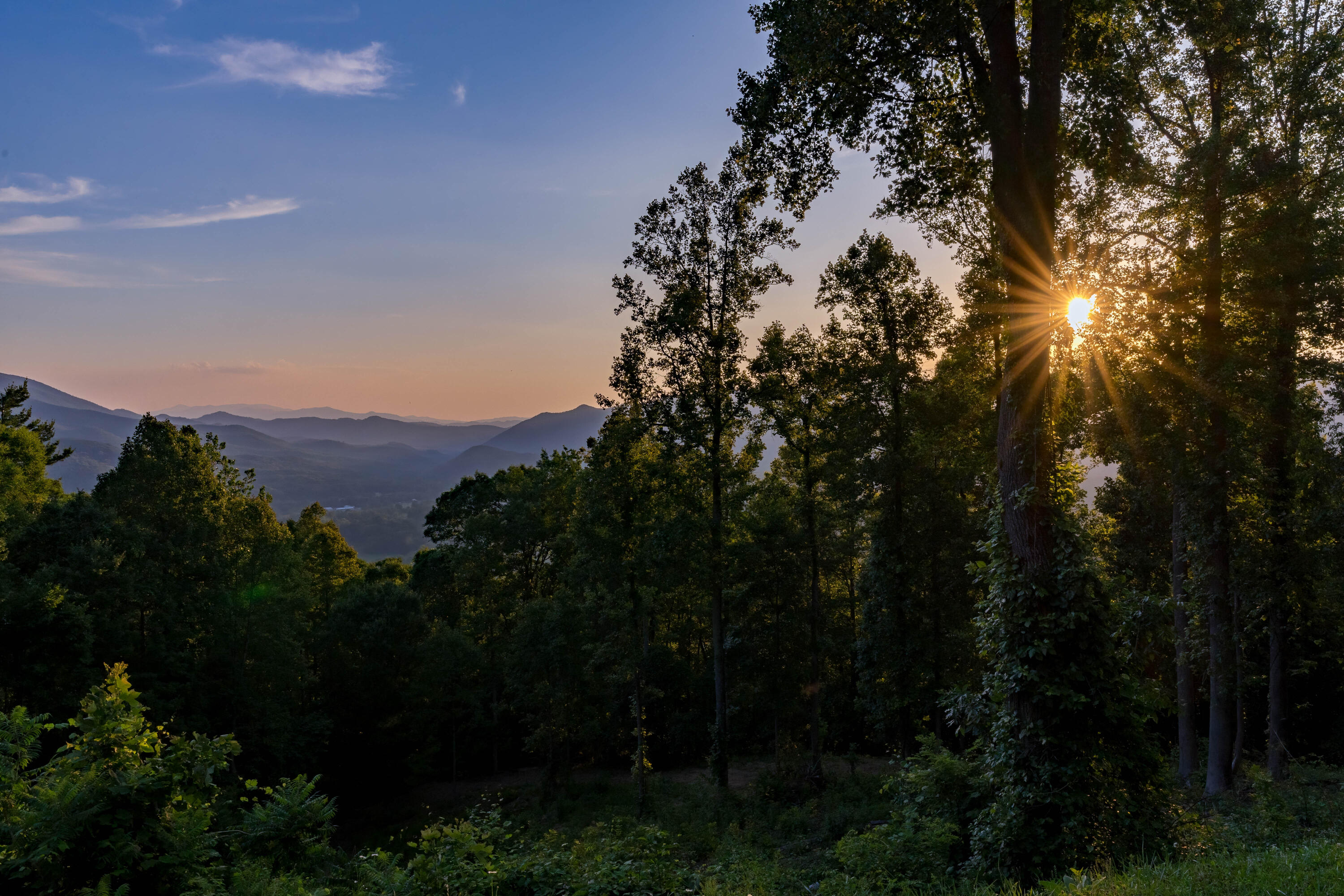 Lot 1 Ridgetop Lane, Unicoi, Tennessee image 34