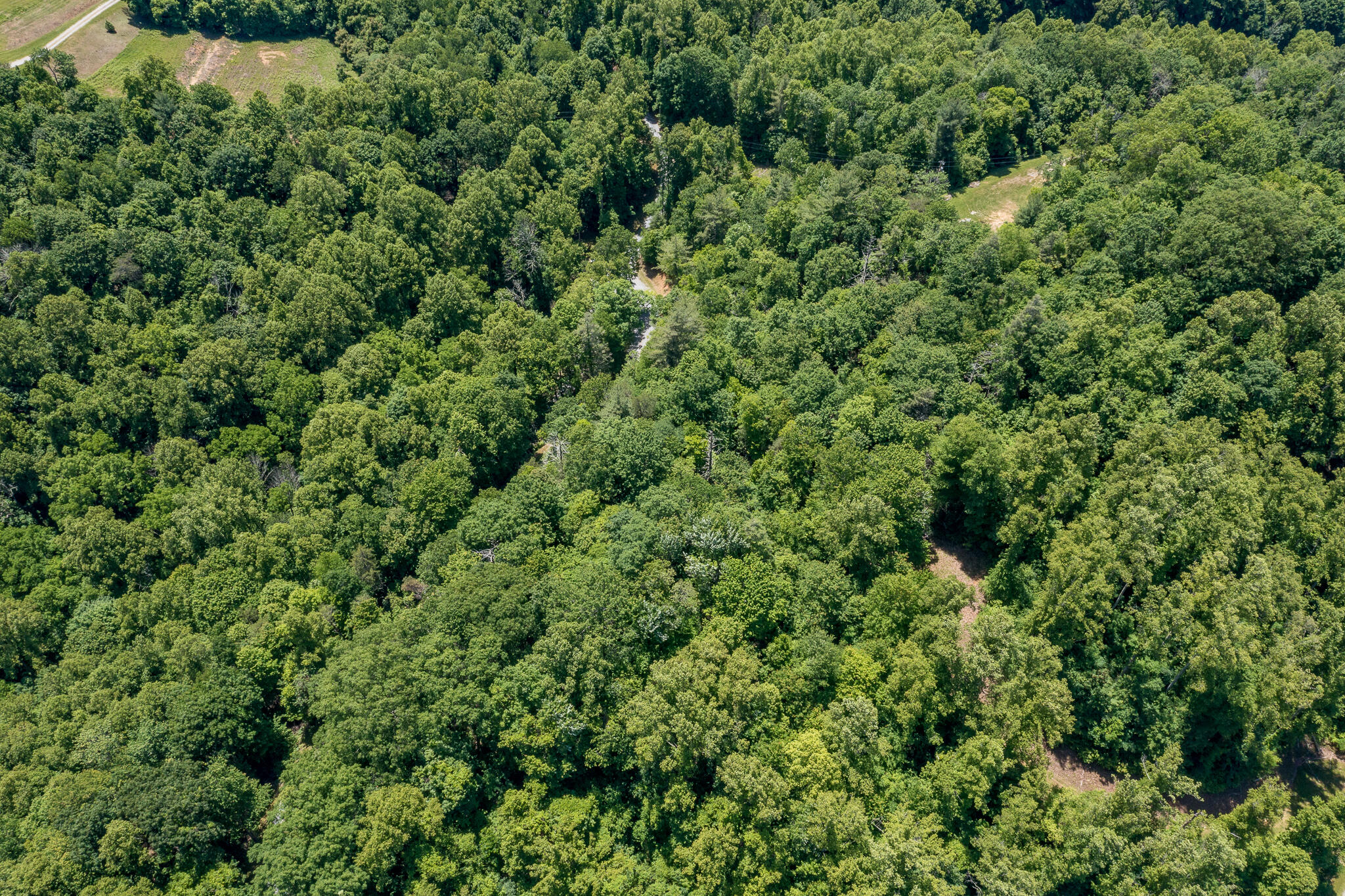 Lot 1 Ridgetop Lane, Unicoi, Tennessee image 18