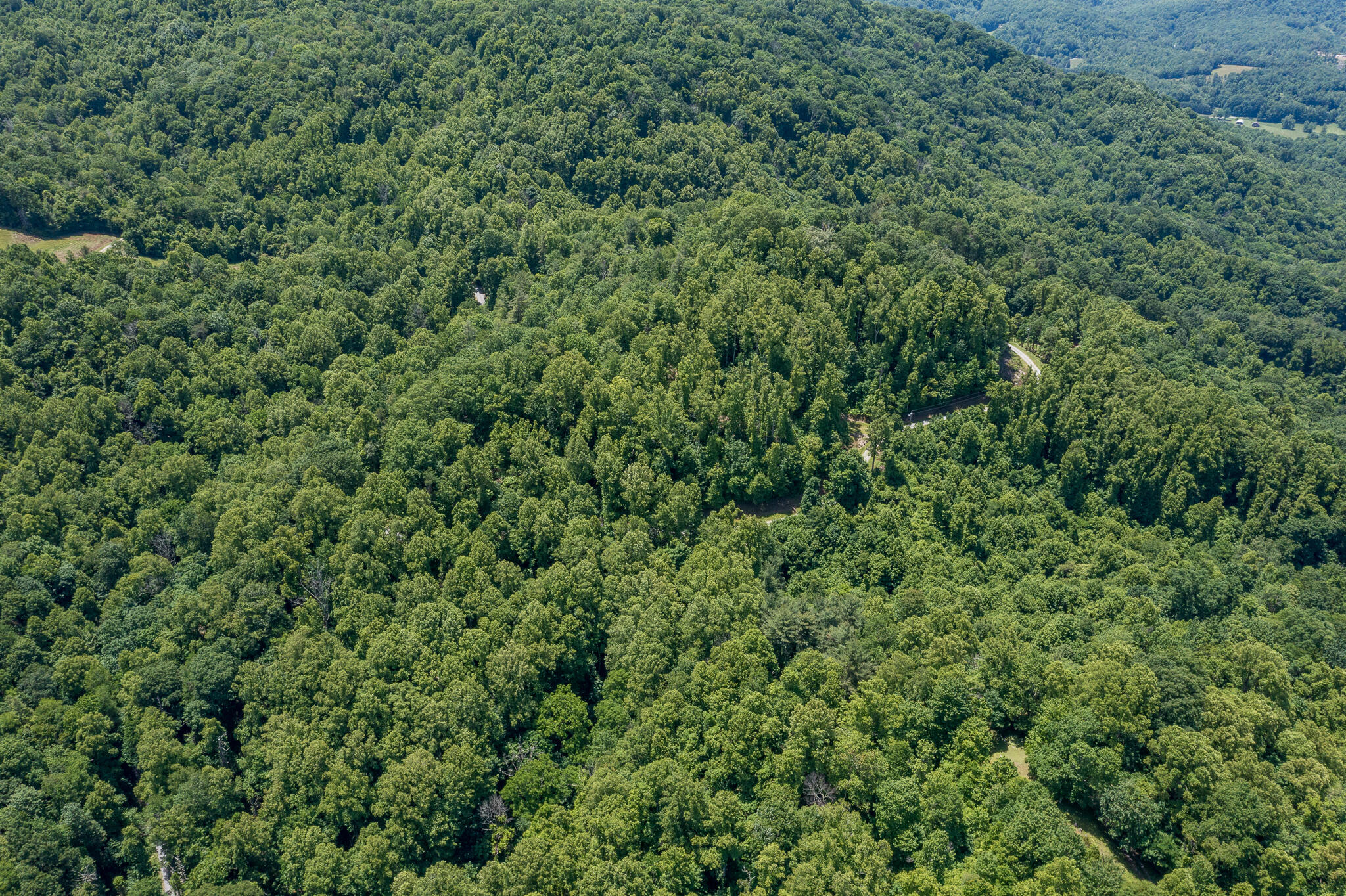 Lot 1 Ridgetop Lane, Unicoi, Tennessee image 15