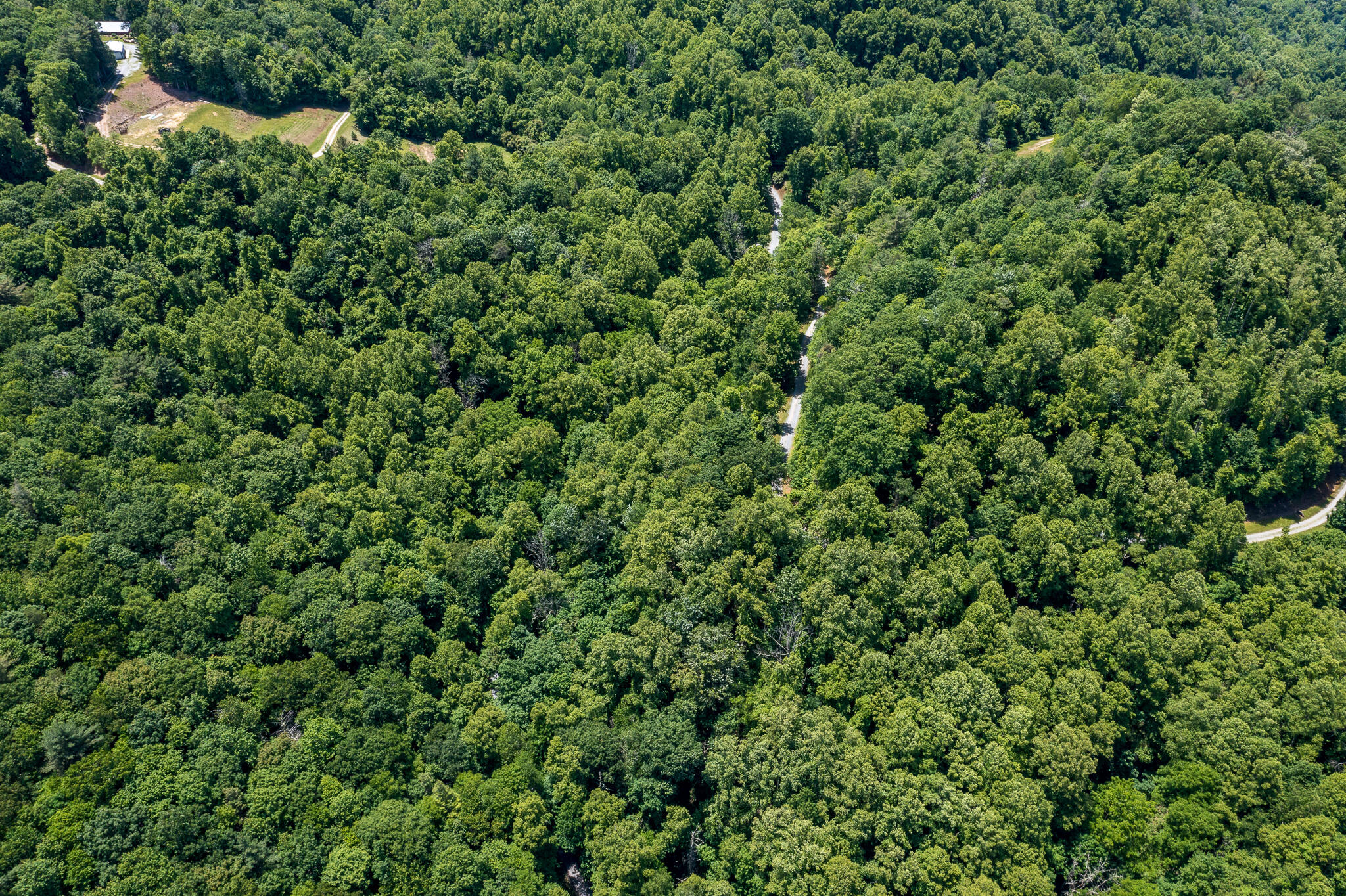 Lot 1 Ridgetop Lane, Unicoi, Tennessee image 9