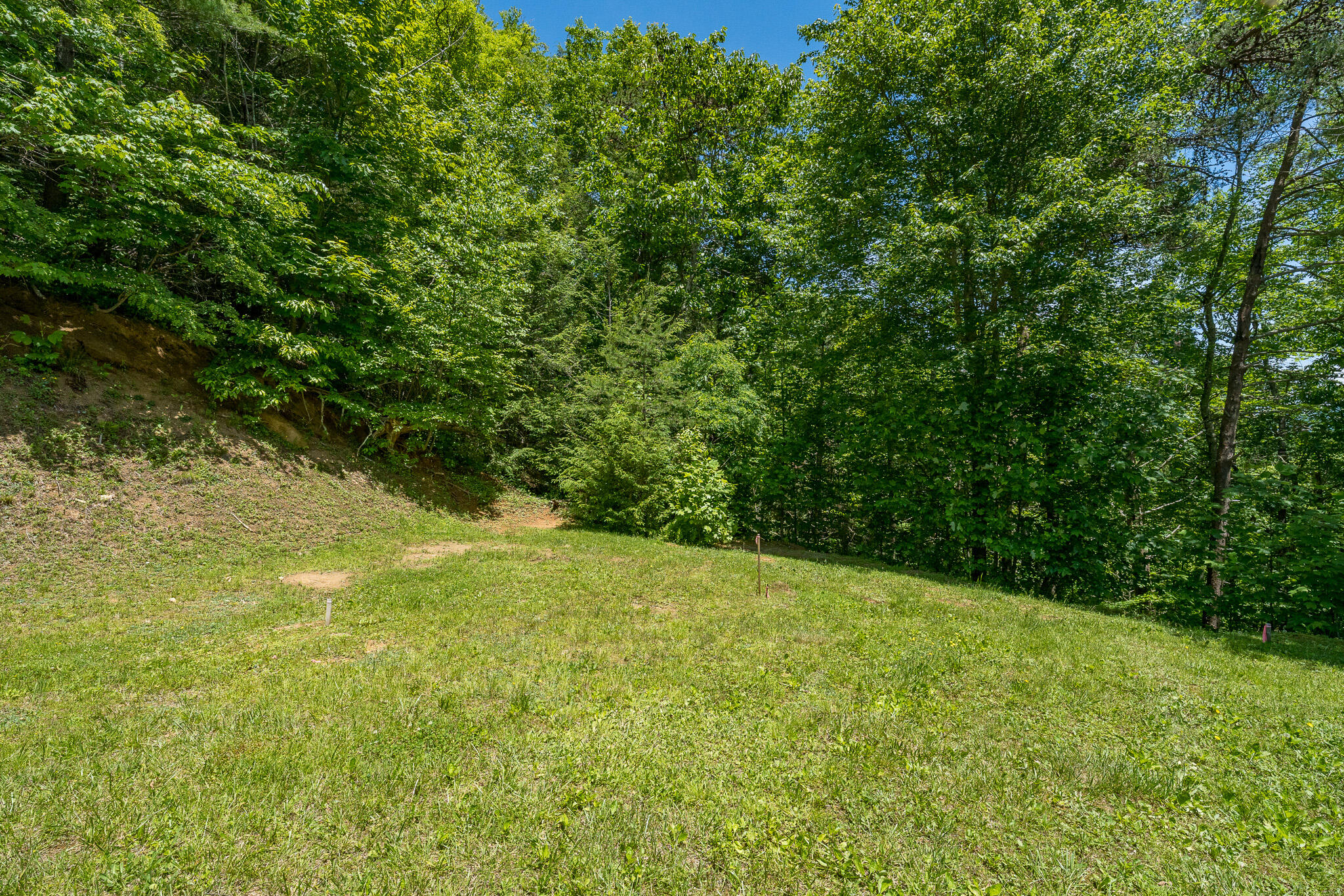 Lot 1 Ridgetop Lane, Unicoi, Tennessee image 29