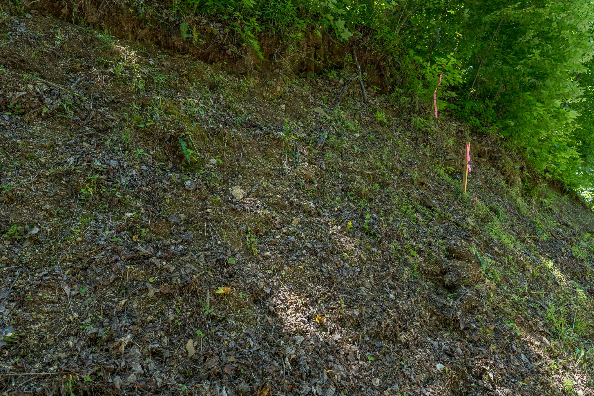 Lot 1 Ridgetop Lane, Unicoi, Tennessee image 32