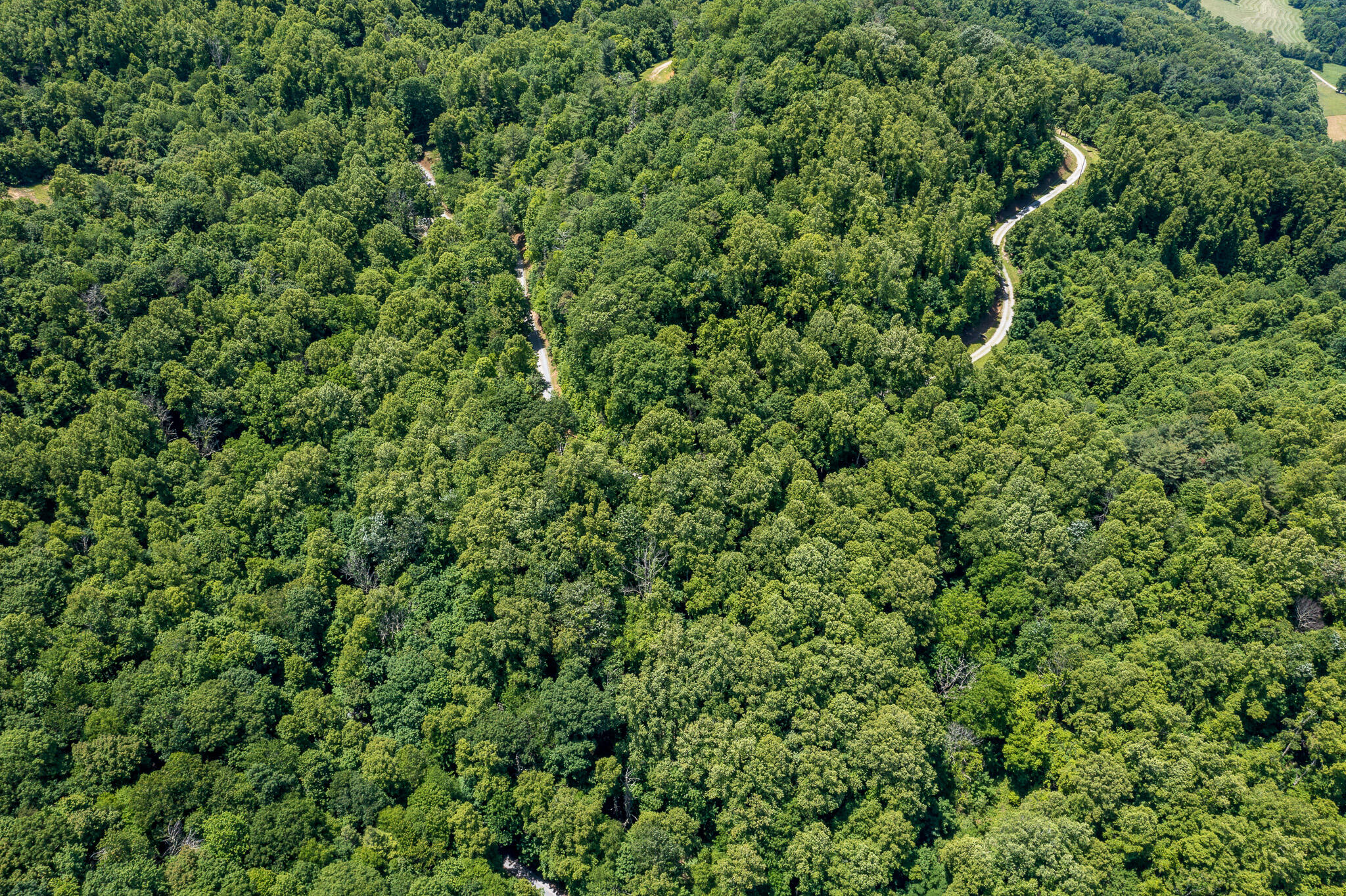 Lot 1 Ridgetop Lane, Unicoi, Tennessee image 12