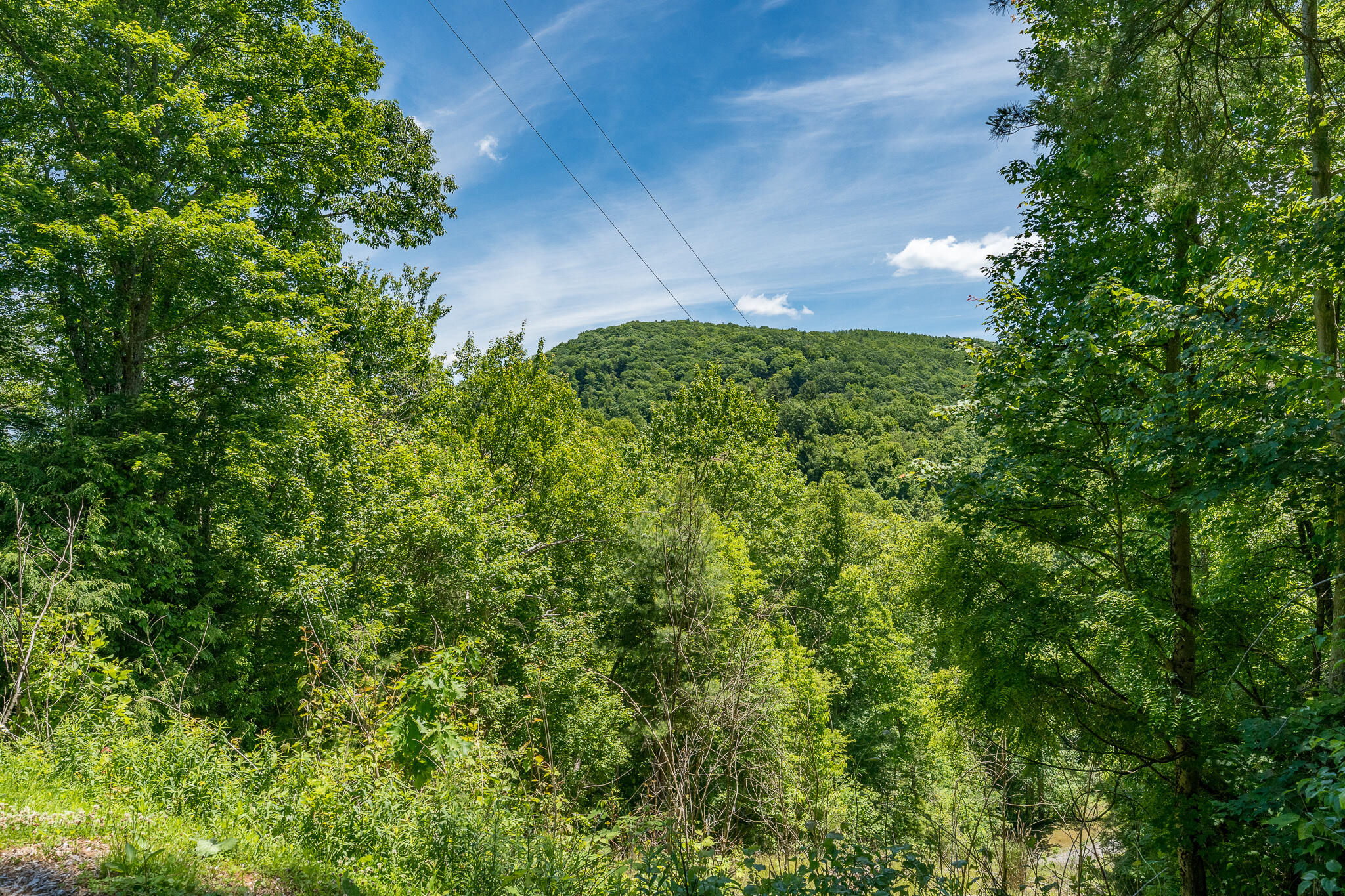Lot 1 Ridgetop Lane, Unicoi, Tennessee image 27