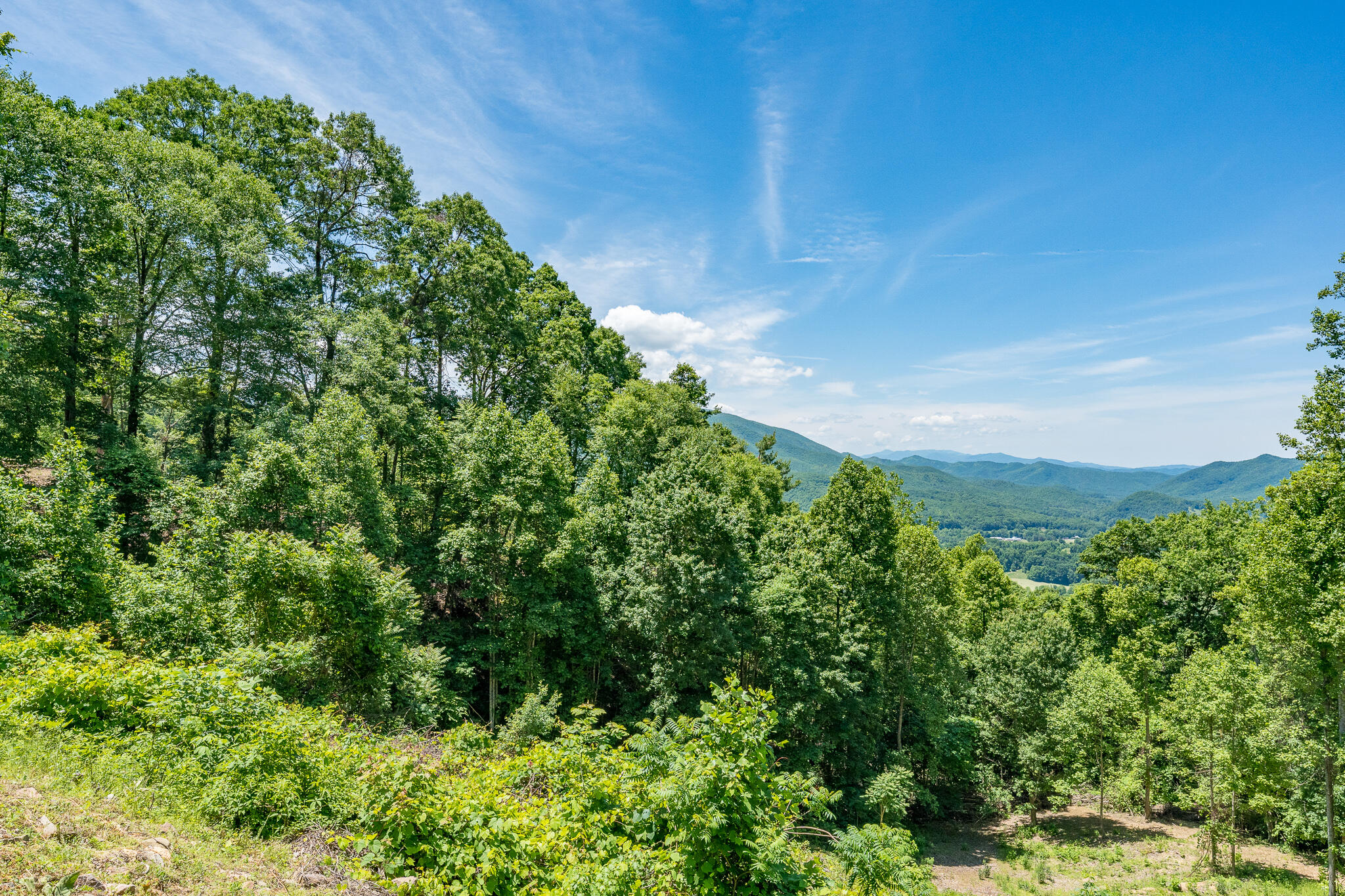 Lot 1 Ridgetop Lane, Unicoi, Tennessee image 26