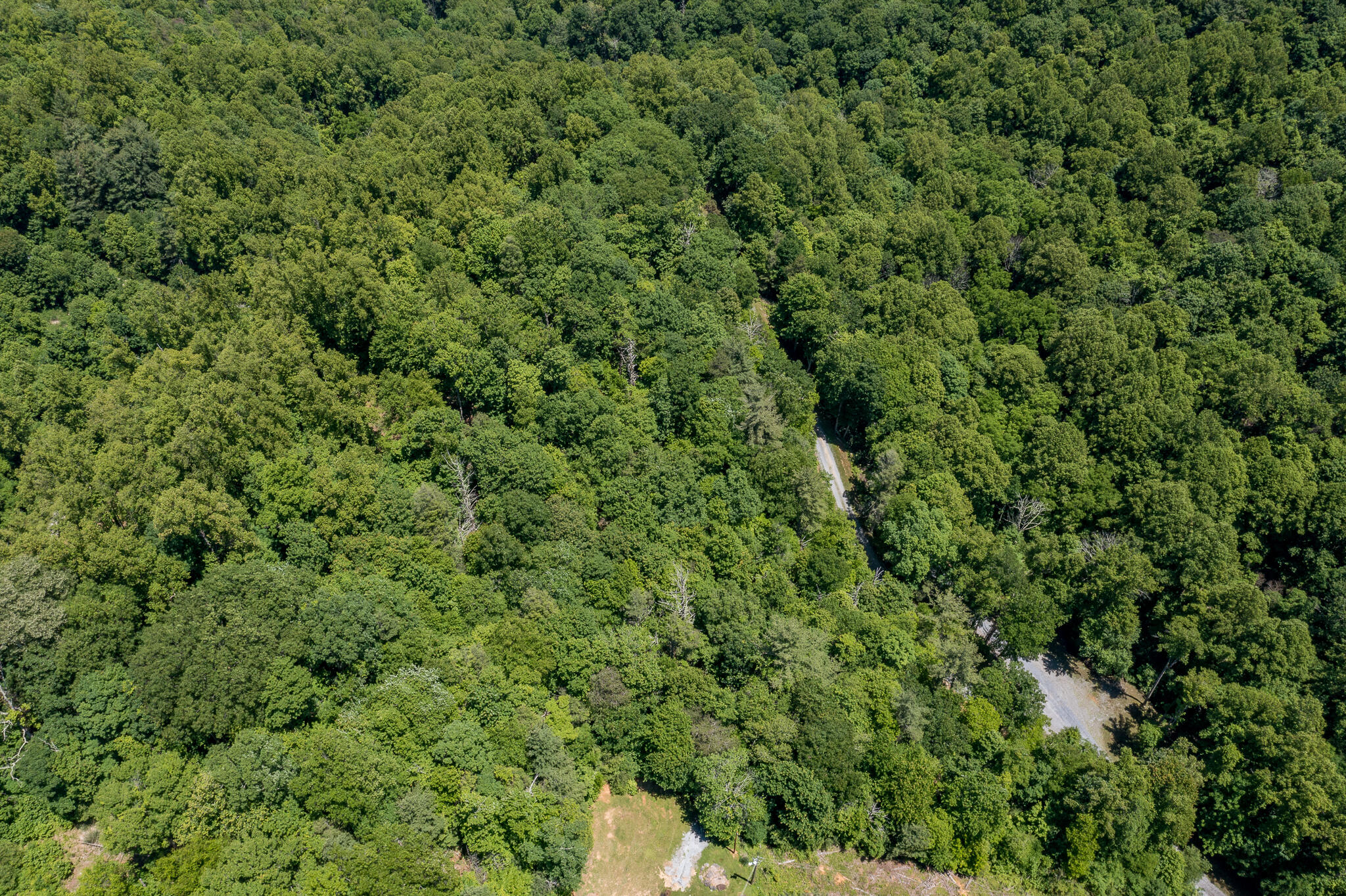 Lot 1 Ridgetop Lane, Unicoi, Tennessee image 25