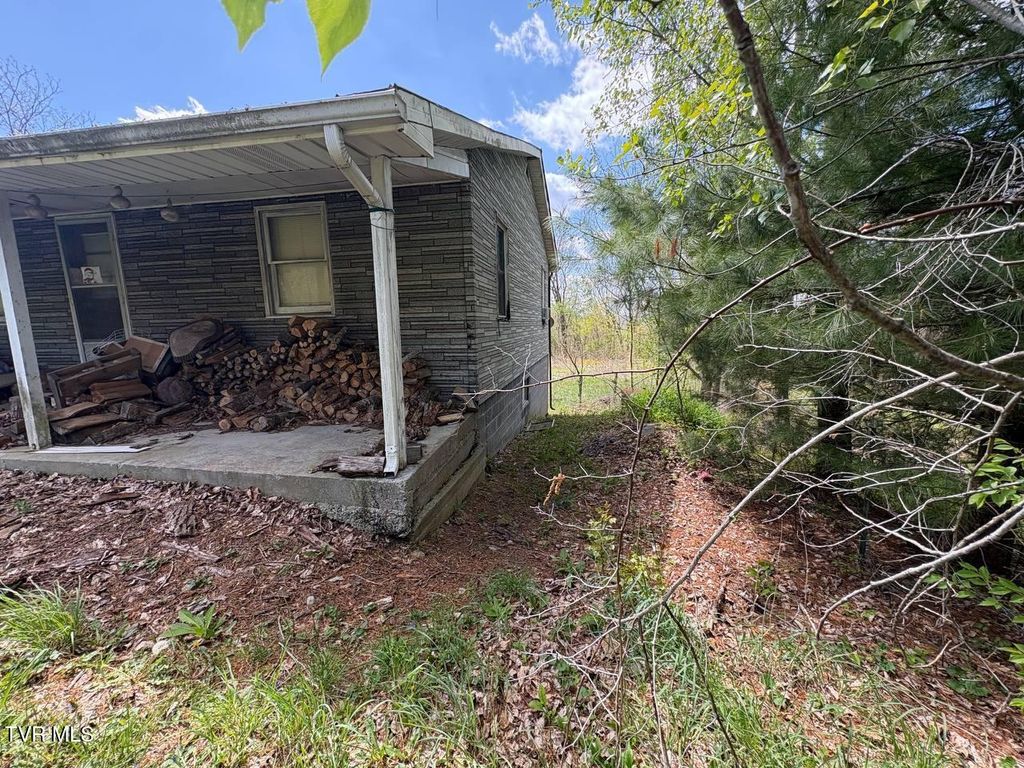 Photo of 7834 Brown Mountain Road, Jewell Ridge, VA 24622 (MLS # 9994872)