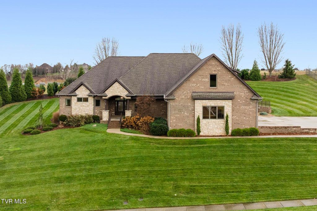 Photo of 99 Hayfield Drive, Johnson City, TN 37615 (MLS # 9988791)