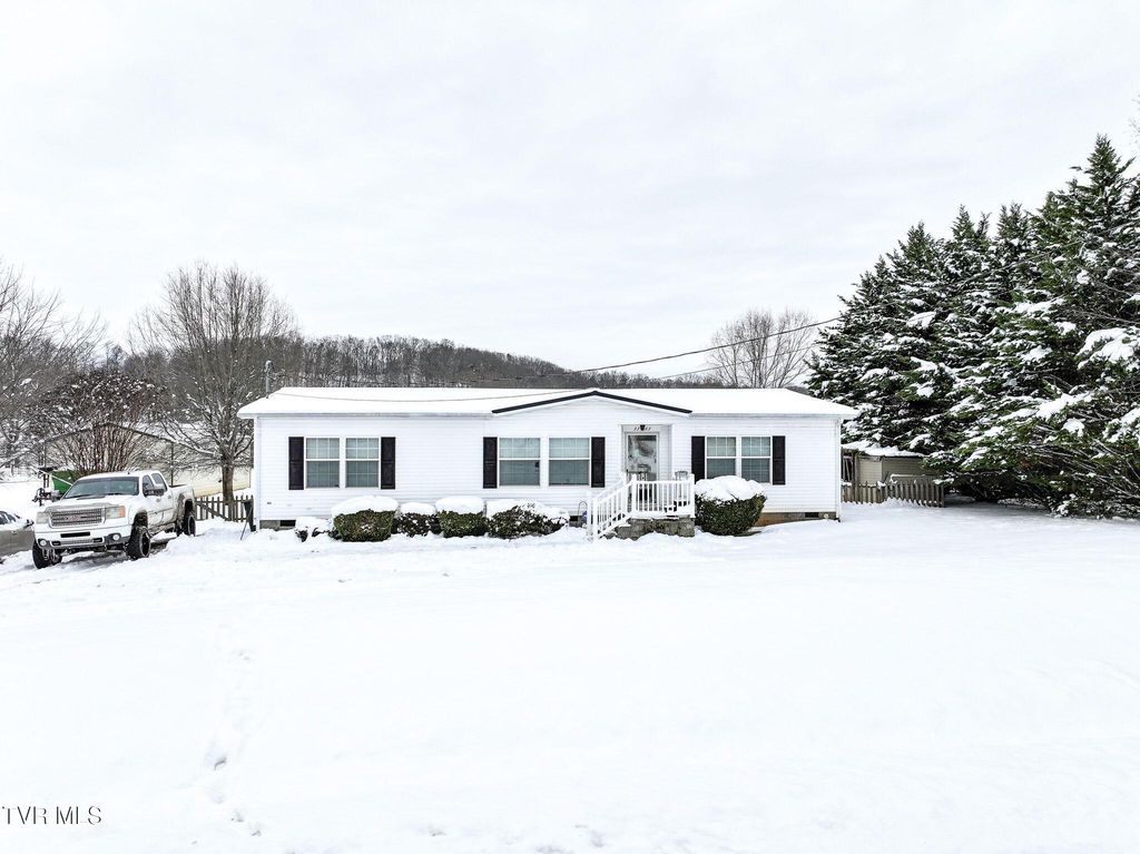 Photo of 3363 Babbs Mill Road, Afton, TN 37616 (MLS # 9990842)