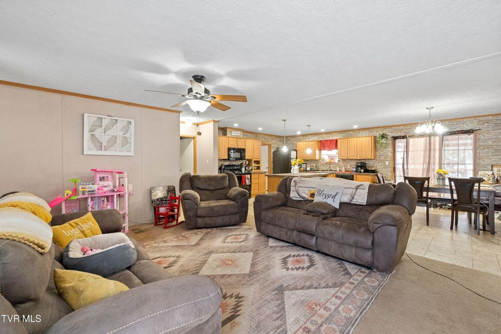 Photo of 3363 Babbs Mill Road, Afton, TN 37616 (MLS # 9990842)