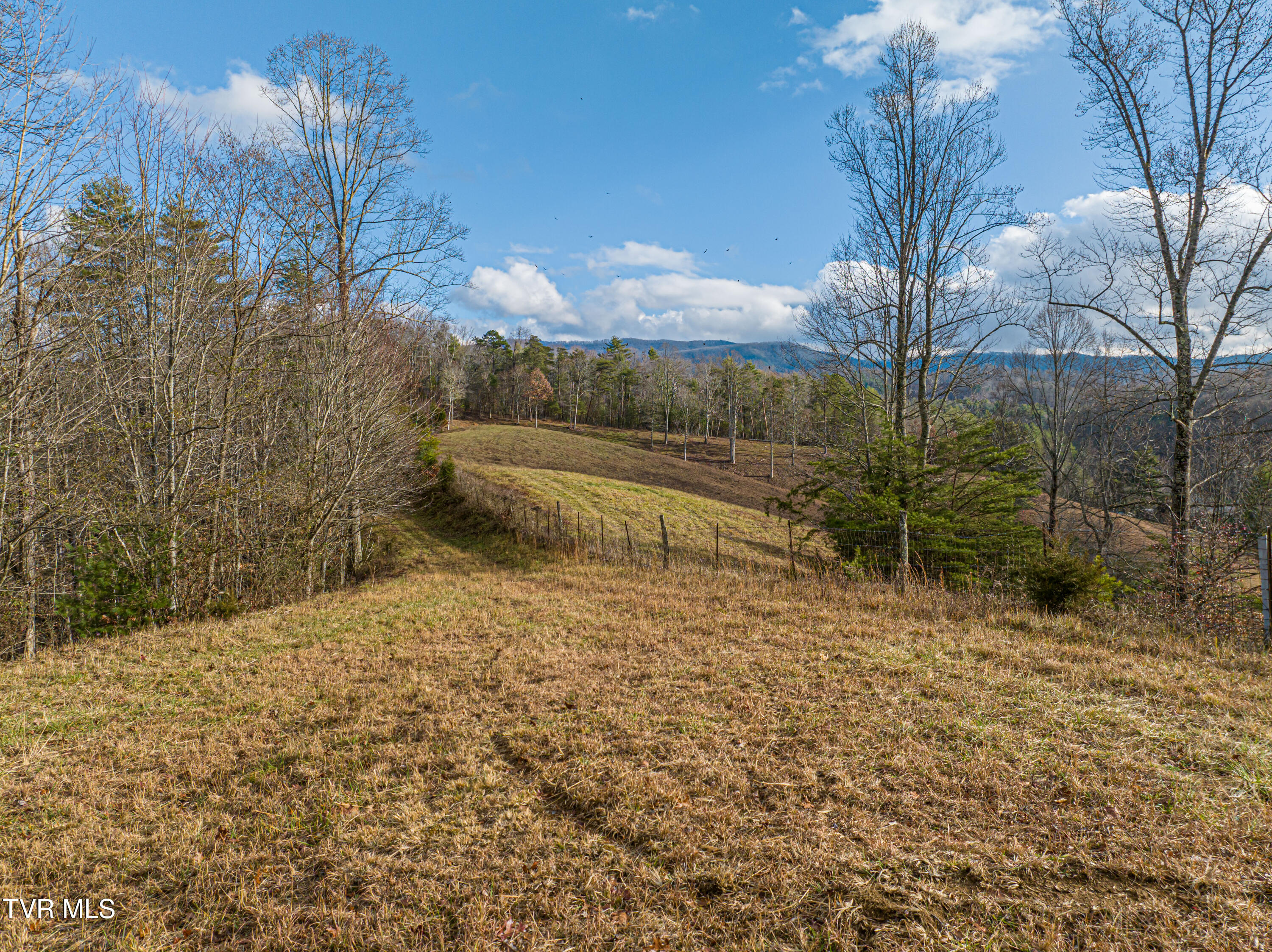 2523 Denton Valley Road, Bristol, Tennessee image 13
