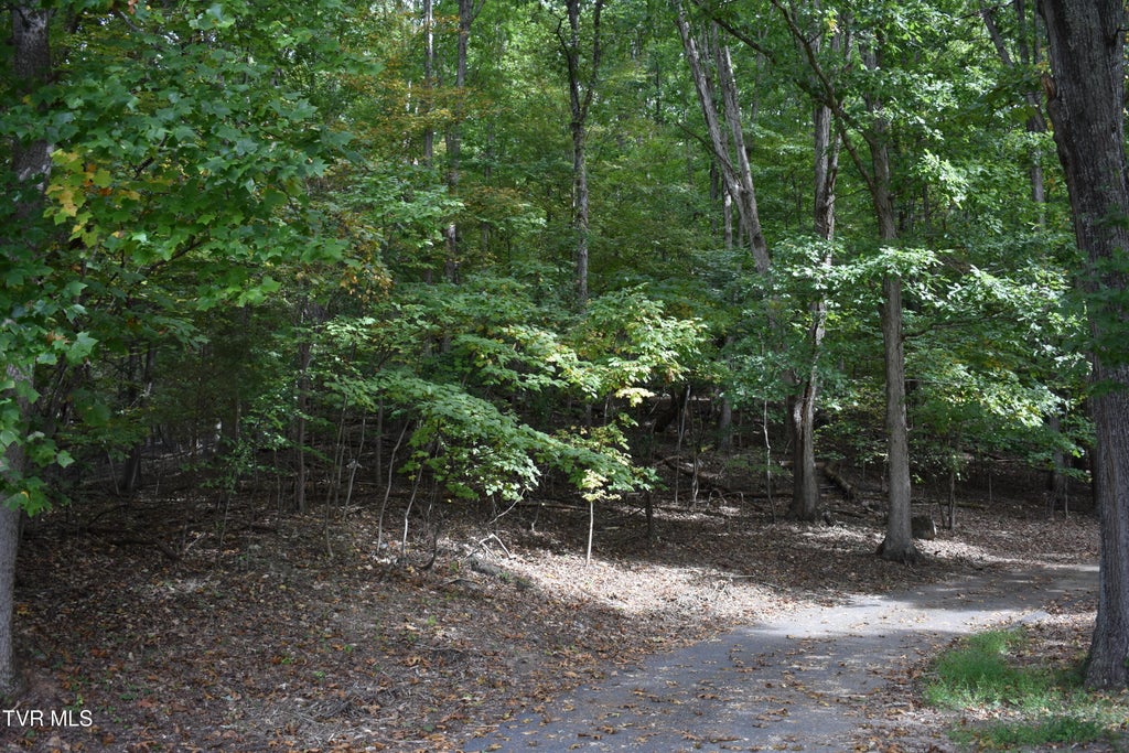 Photo of Tbd Echo Hills Drive, Rogersville, TN 37857 (MLS # 10001935)