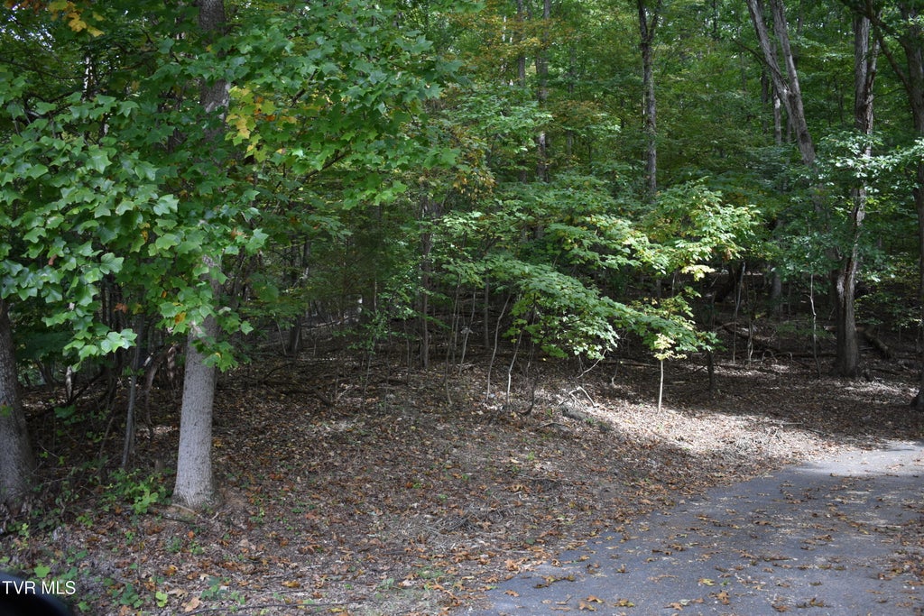 Photo of Tbd Echo Hills Drive, Rogersville, TN 37857 (MLS # 10001935)