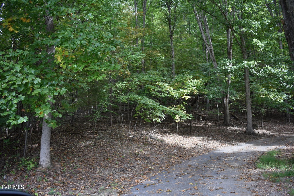 Photo of Tbd Echo Hills Drive, Rogersville, TN 37857 (MLS # 10001935)