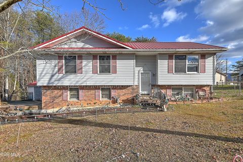 1041 Okrina Drive Church Hill TN 37642