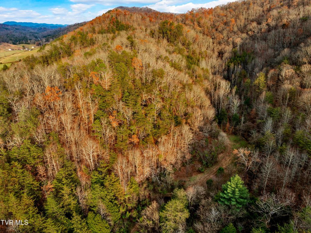 Photo of Tbd Panther Creek Road, Sneedville, TN 37869 (MLS # 9988668)