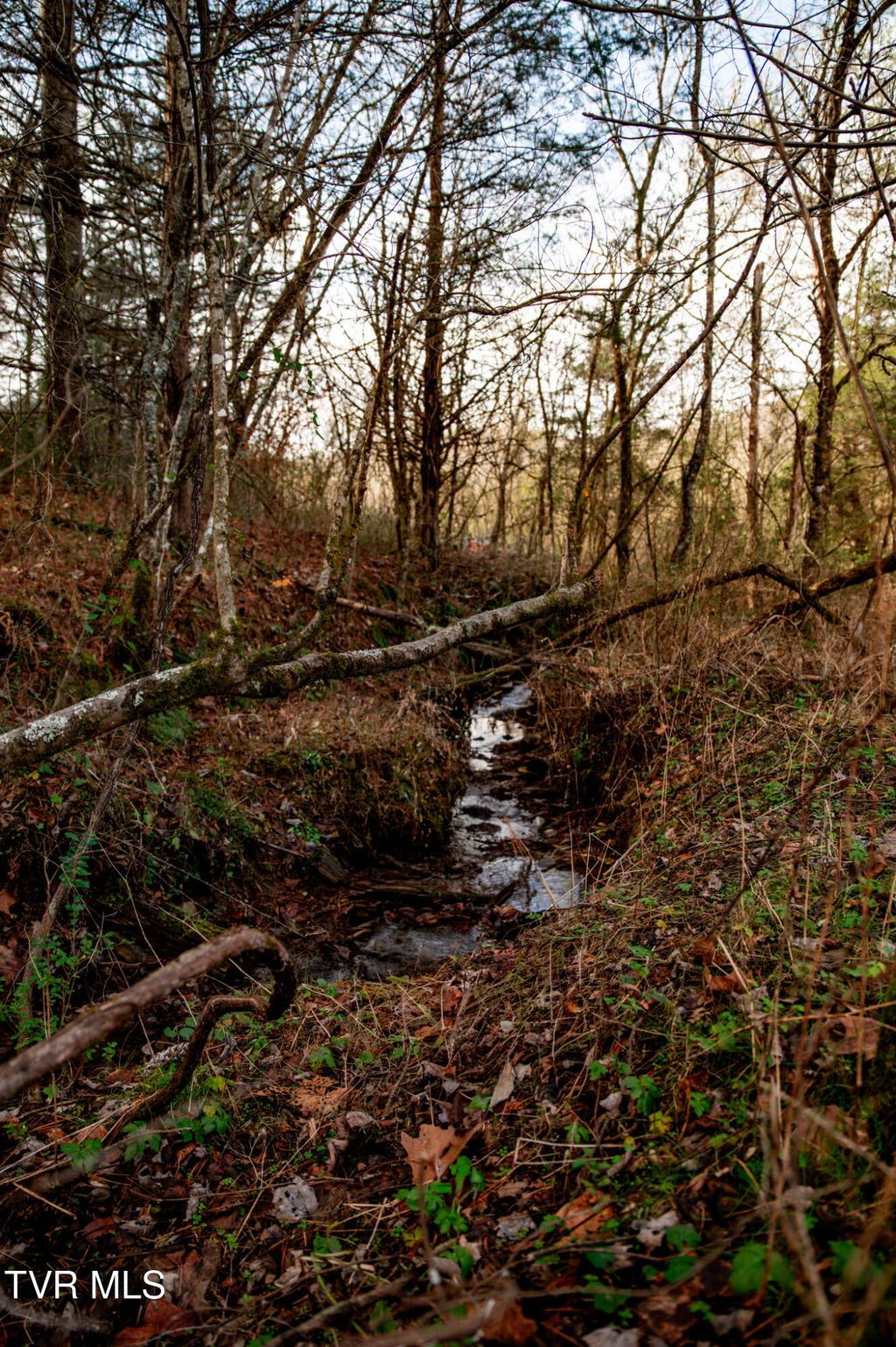 Photo of Tbd Panther Creek Road, Sneedville, TN 37869 (MLS # 9988668)