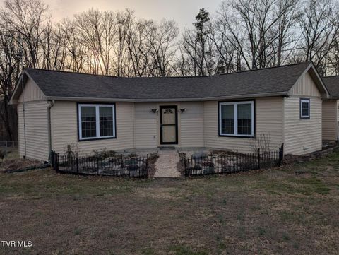 Photo of 220 Crockett Timbers Road, Limestone, TN 37681 (MLS # 9990730)
