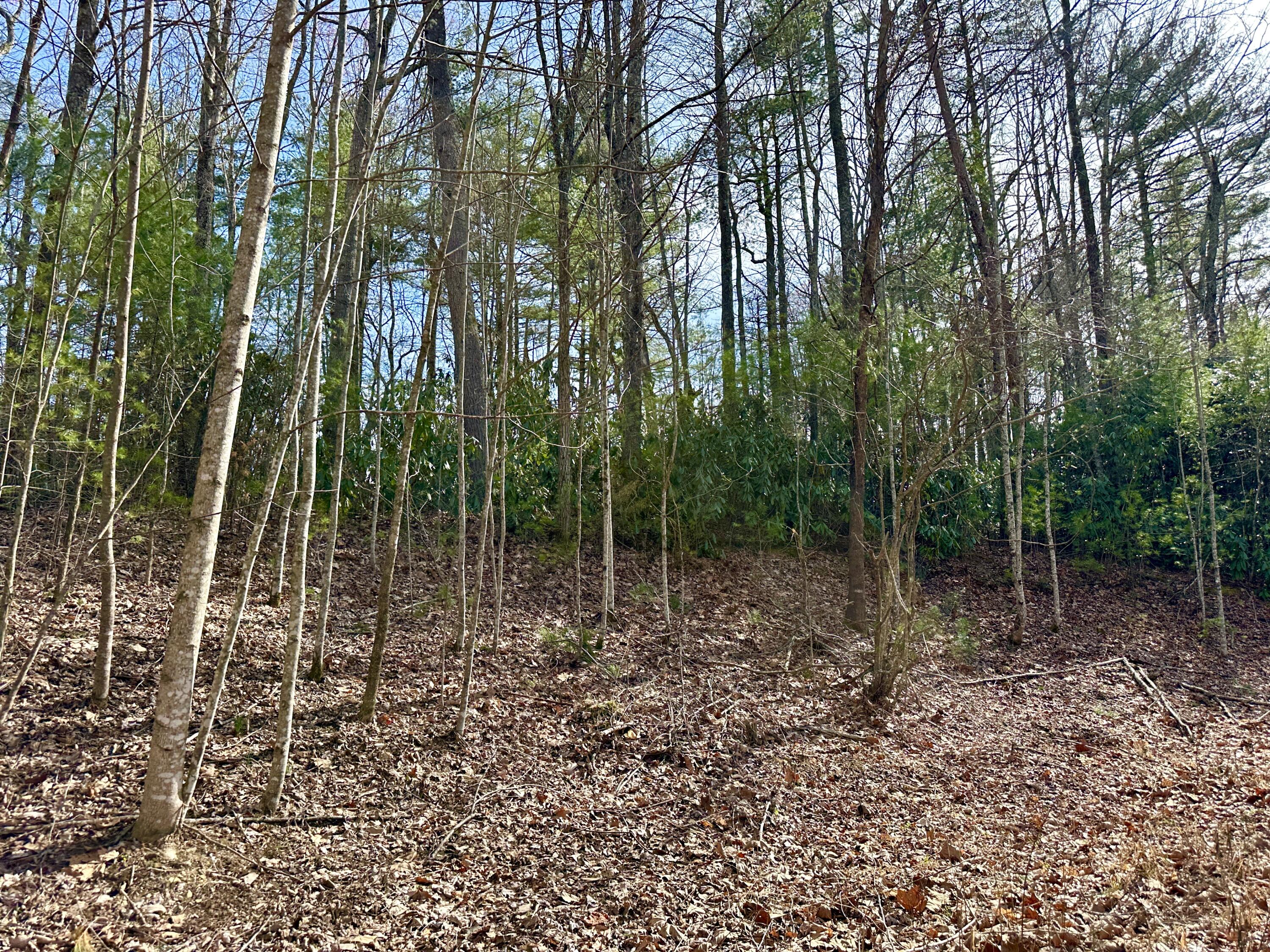 Lot 36 Clydesdale Way, Del Rio, Tennessee image 3