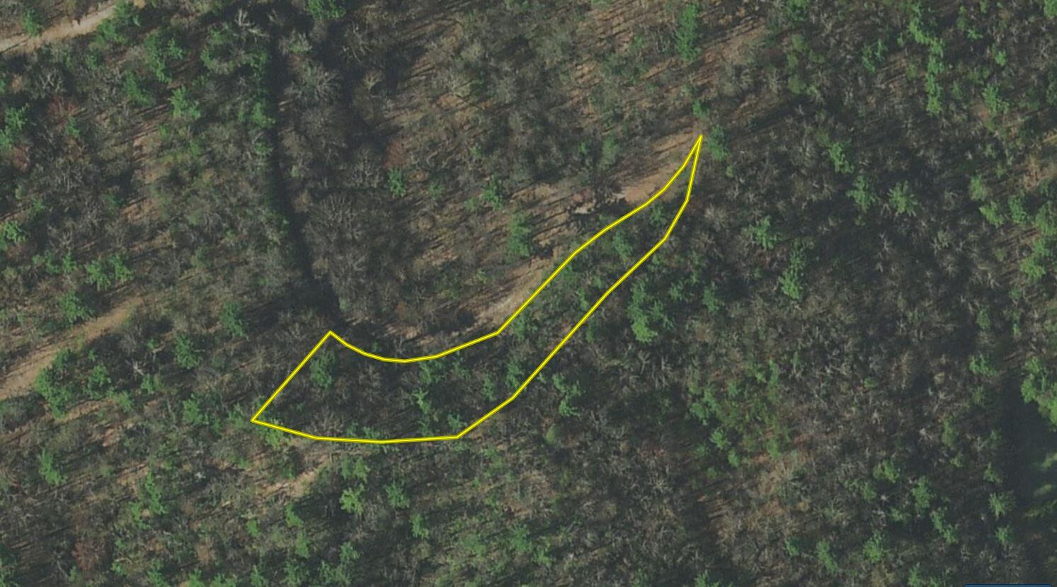Lot 36 Clydesdale Way, Del Rio, Tennessee image 1