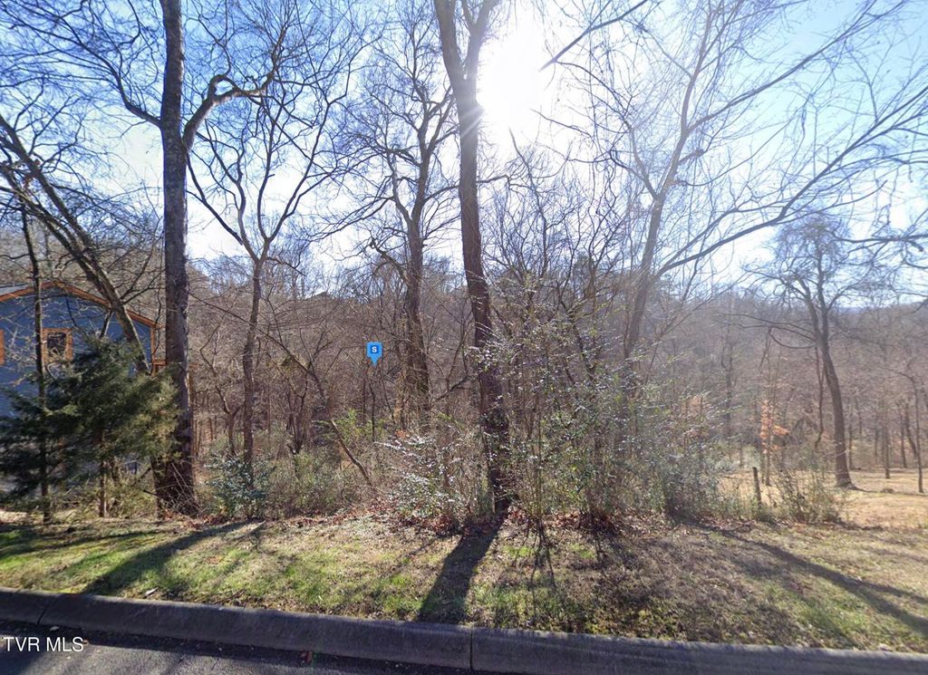 Photo of 529 Maggie Mack Lane, Sevierville, TN 37862 (MLS # 9989104)