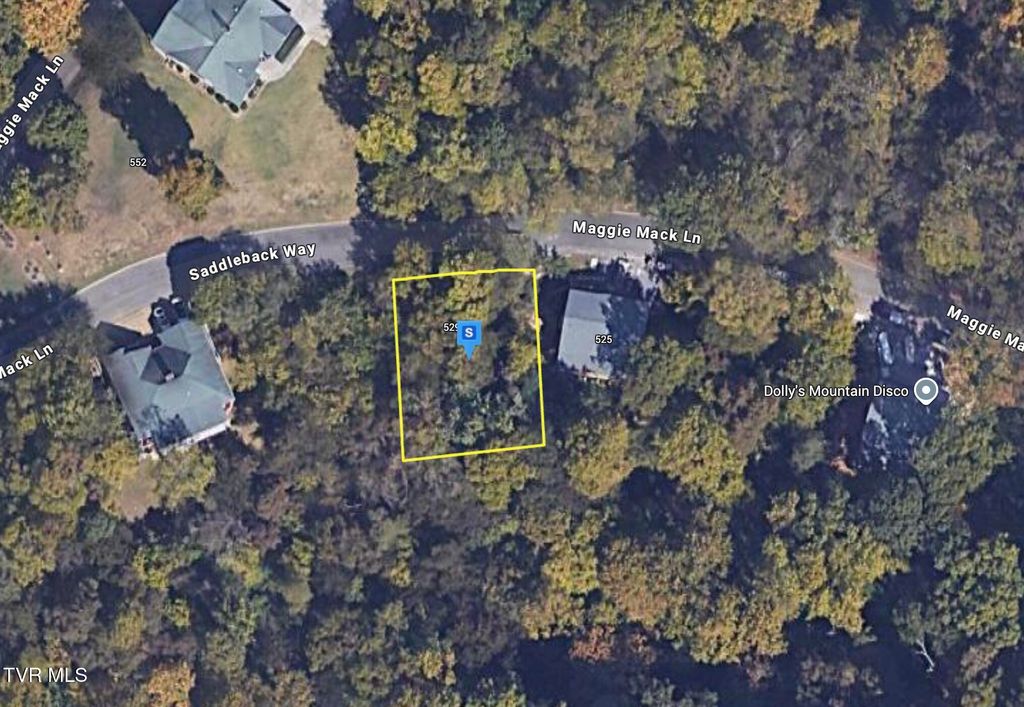 Photo of 529 Maggie Mack Lane, Sevierville, TN 37862 (MLS # 9989104)