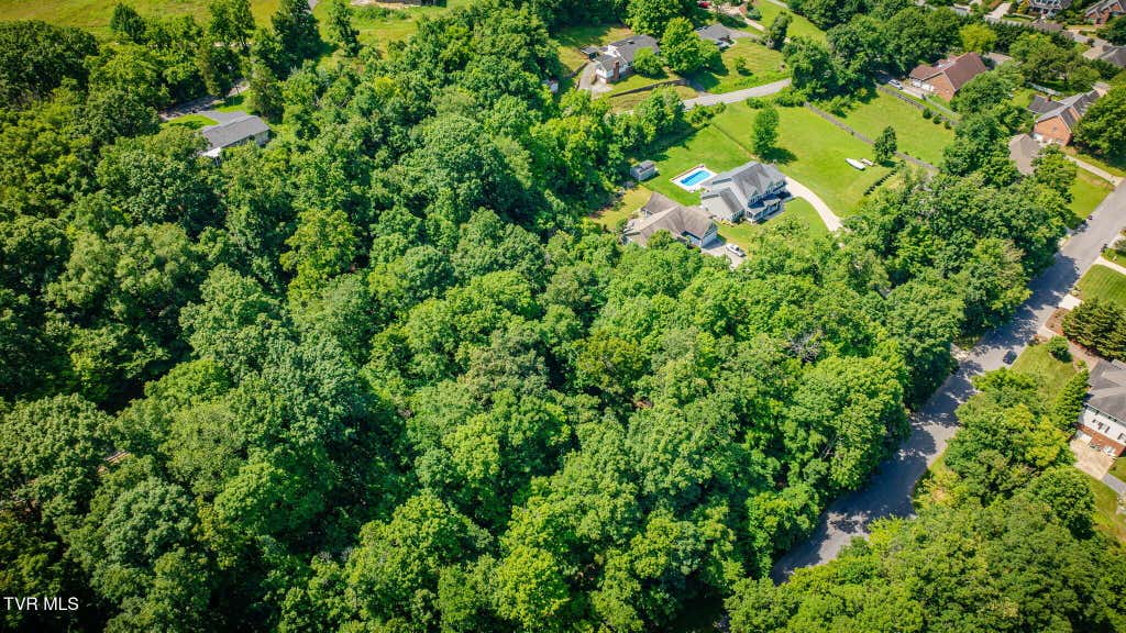 Photo of 1101 Aberdeen Trail, Kingsport, TN 37664 (MLS # 9998468)