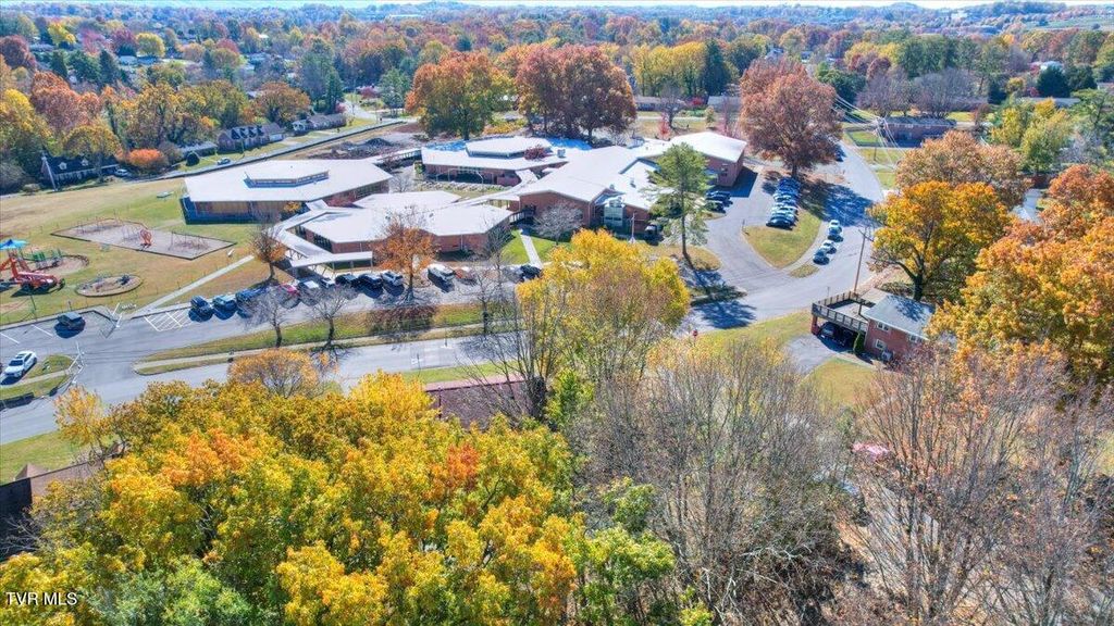 Photo of 2517 Larkspur Drive, Johnson City, TN 37604 (MLS # 9988176)