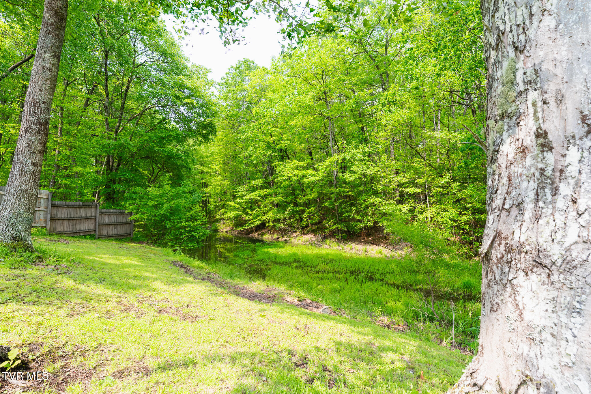 9266 Forest Rd Road, Coeburn, Virginia image 32