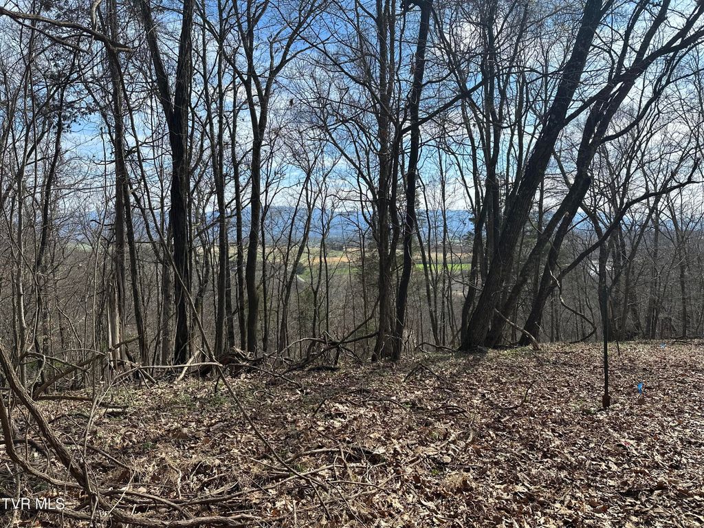 Photo of Tbd Clemmer Drive, Chuckey, TN 37641 (MLS # 9993763)