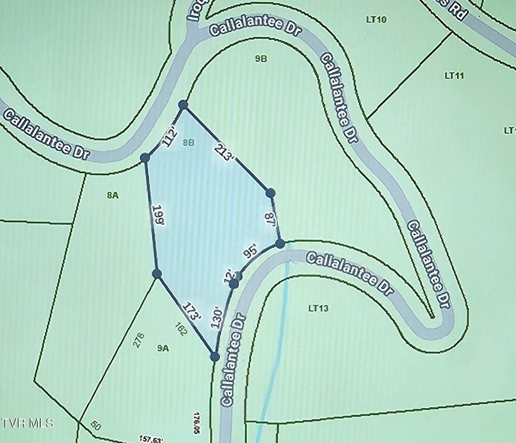 Photo of Tbd Callalantee Drive #048 087.06, Mountain City, TN 37683 (MLS # 9994102)