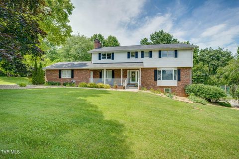 Homes For Sale - 2320 Rivermont Drive<br/> Sullivan County County, Kingsport, TN 37660