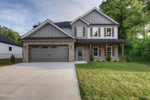 Homes For Sale - 305 Ty's Place<br/> Sullivan County County, Kingsport, TN 37663