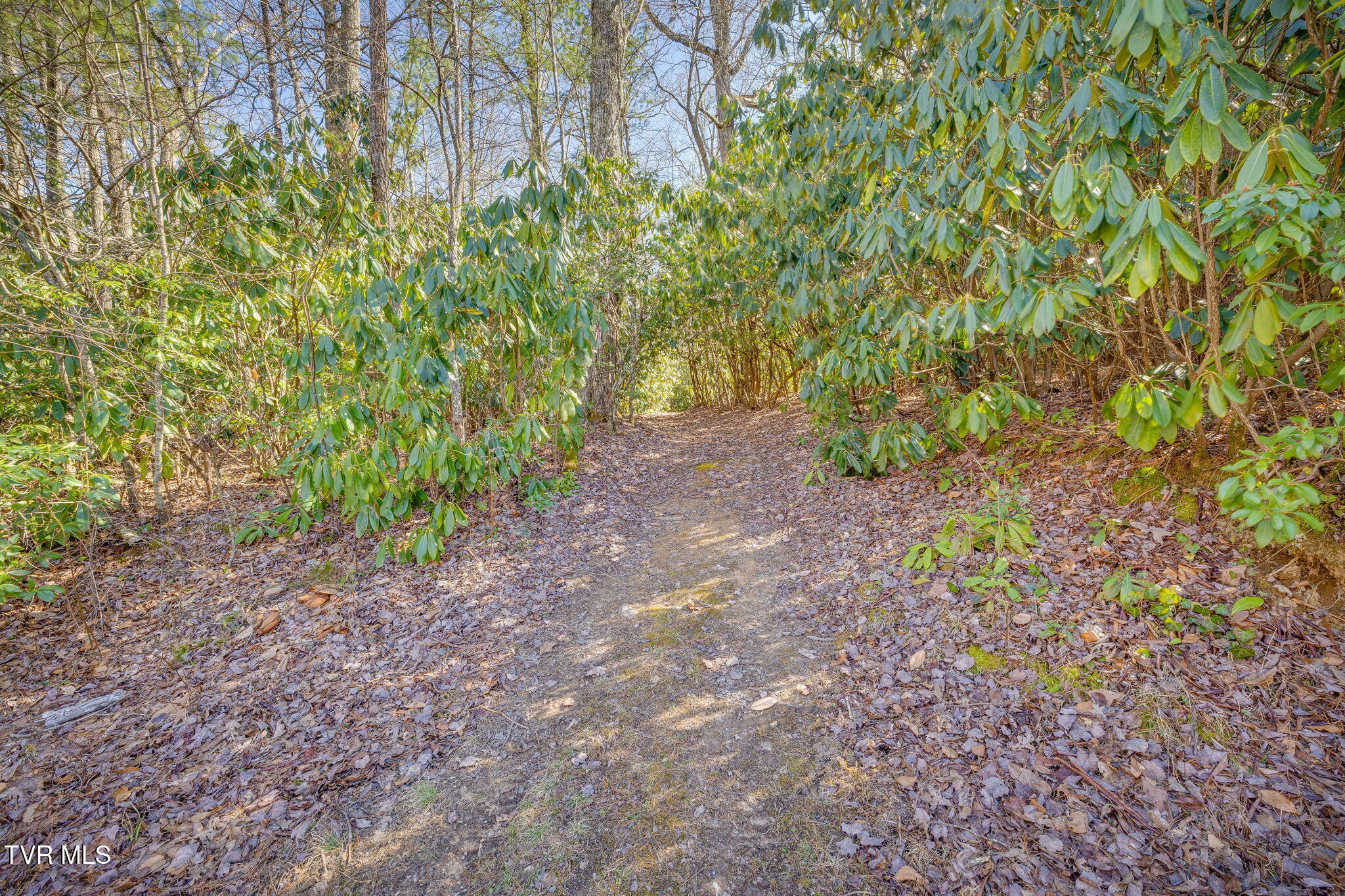 200 Laurel Flats Road, Unicoi, Tennessee image 38