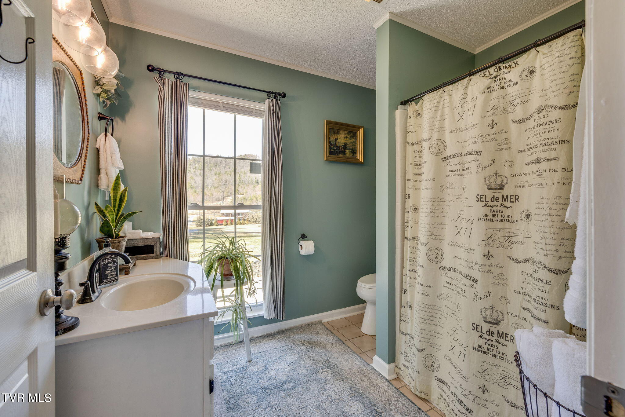 200 Laurel Flats Road, Unicoi, Tennessee image 22