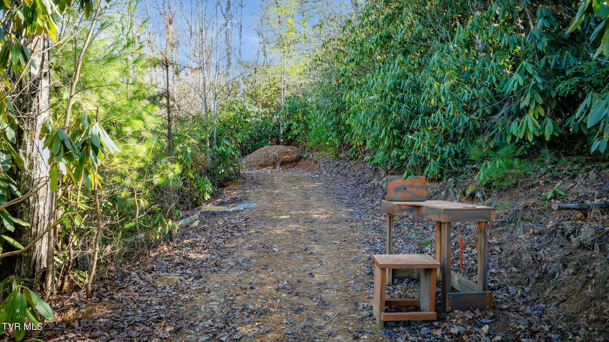 200 Laurel Flats Road, Unicoi, Tennessee image 35