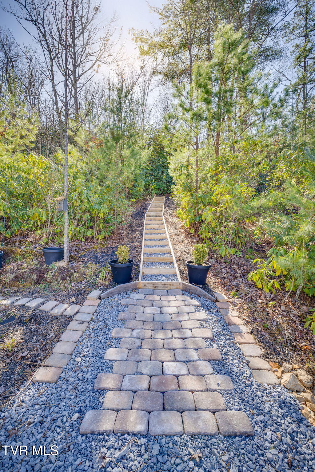 200 Laurel Flats Road, Unicoi, Tennessee image 34