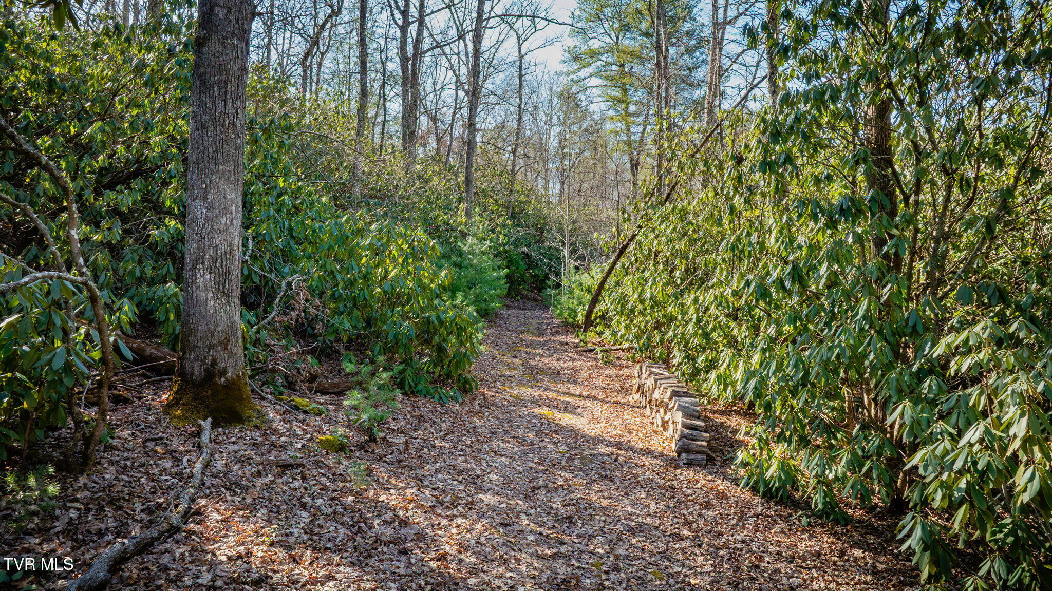 200 Laurel Flats Road, Unicoi, Tennessee image 45