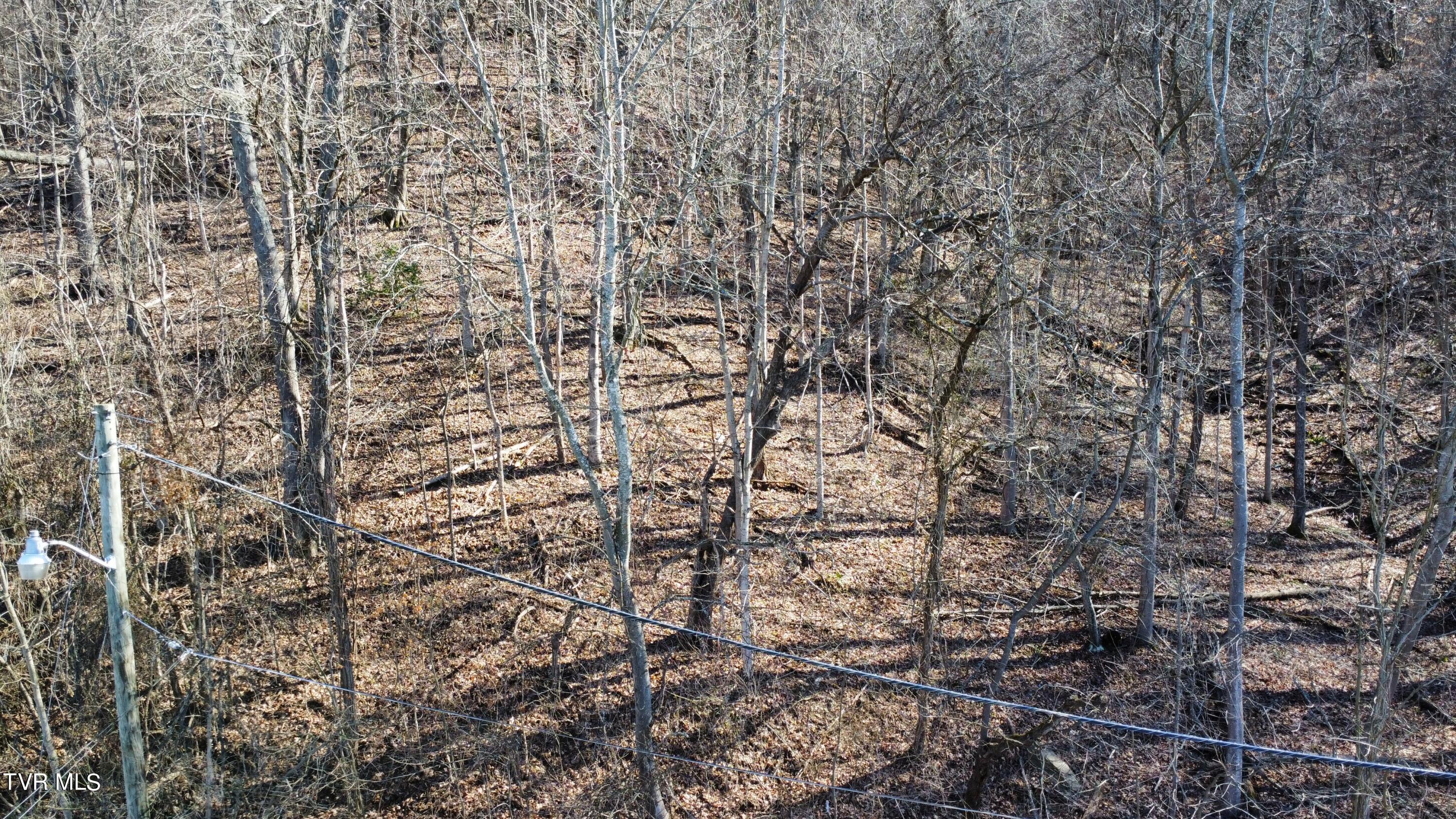 1020 Boyd Path Court, Kingsport, Tennessee image 7