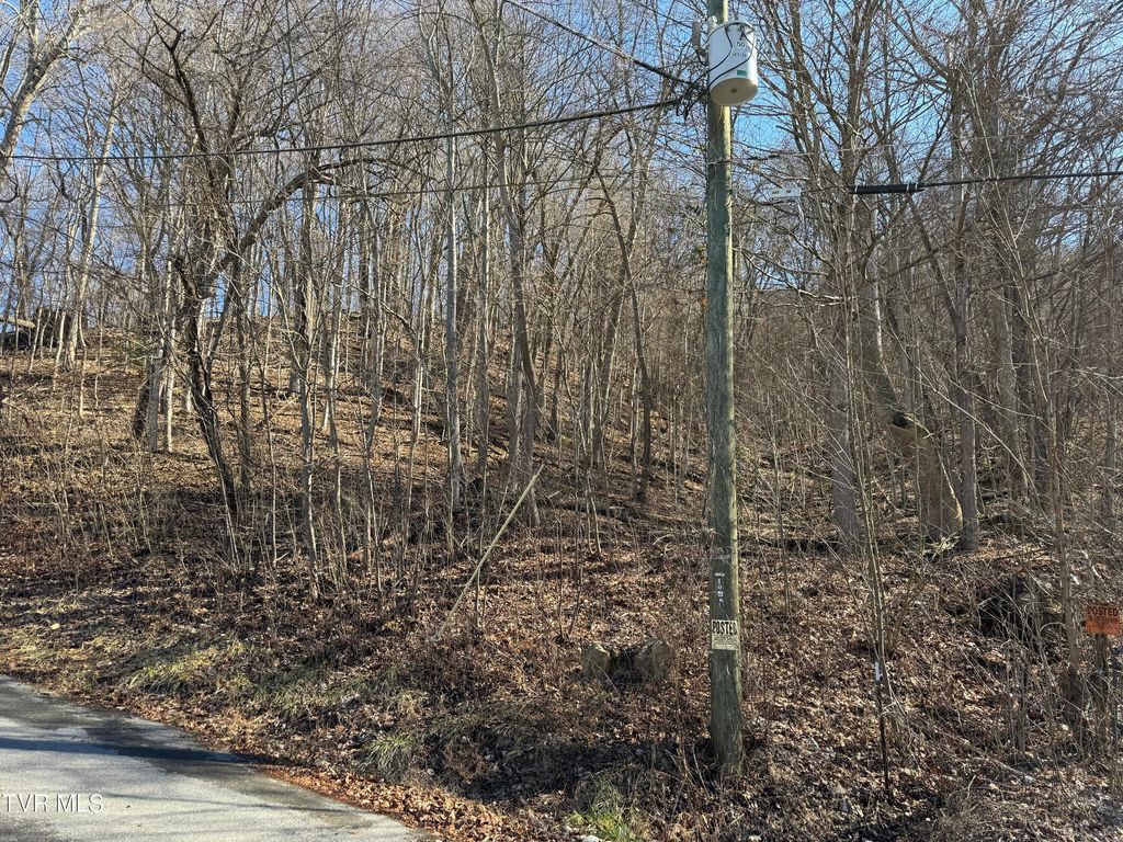 Photo of 1020 Boyd Path Court, Kingsport, TN 37660 (MLS # 9977913)