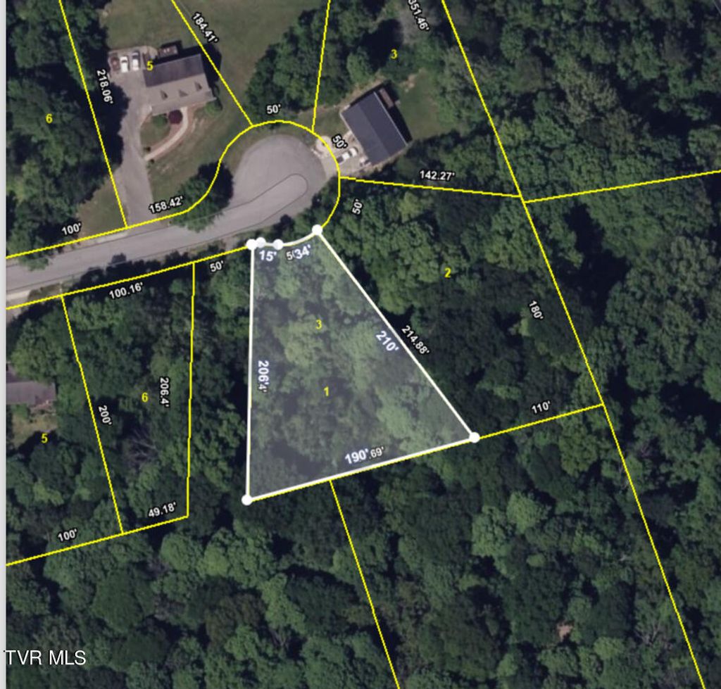 Photo of 1020 Boyd Path Court, Kingsport, TN 37660 (MLS # 9977913)