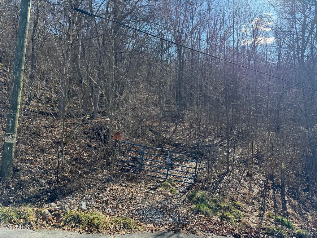 Photo of 1020 Boyd Path Court, Kingsport, TN 37660 (MLS # 9977913)