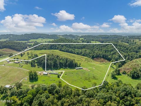 Vacant Land For Sale - 716 Melinda Ferry Road<br/> Whitesburg, TN 37891