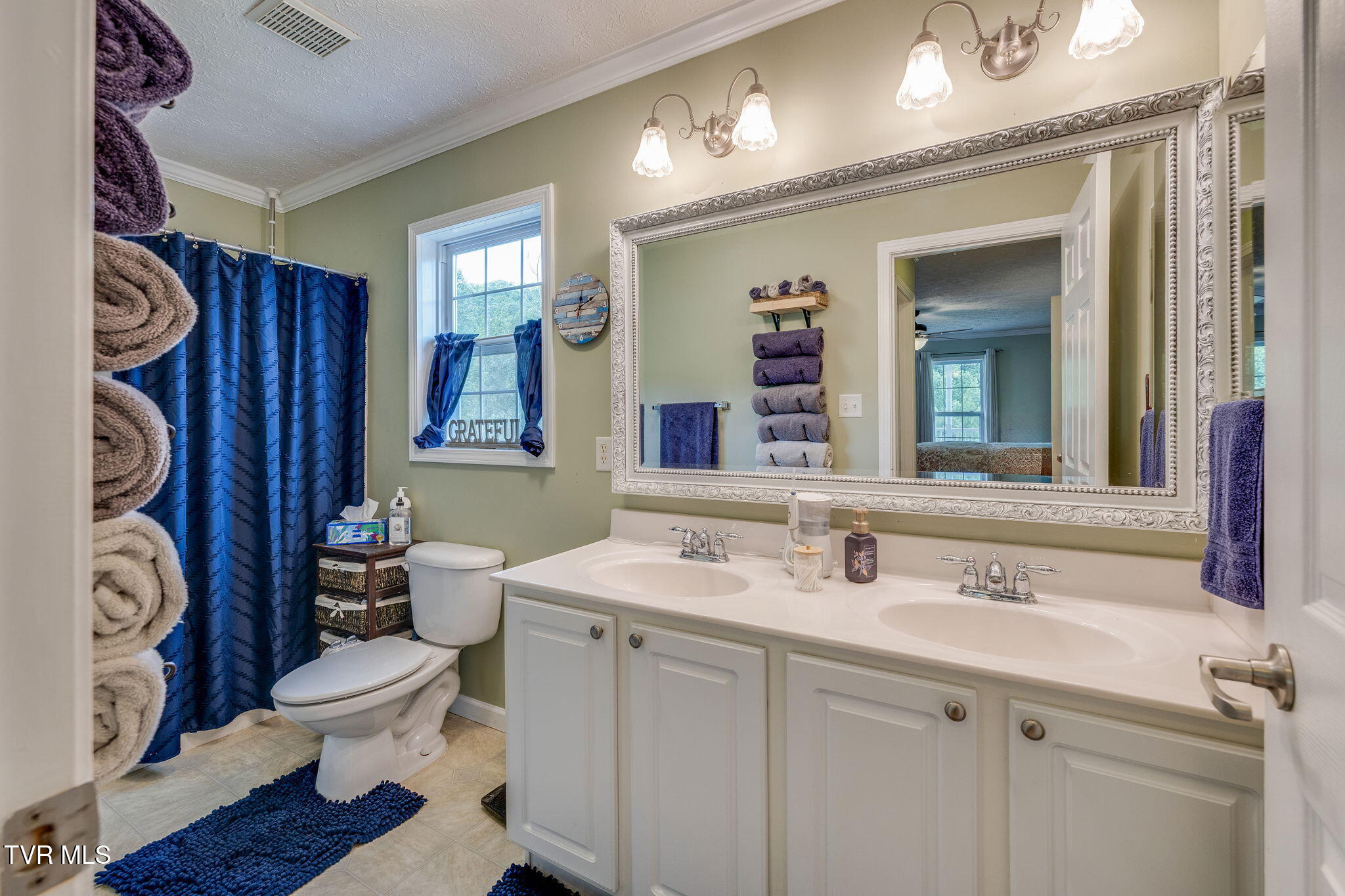 3788 Goshen Valley Road, Rogersville, Tennessee image 20
