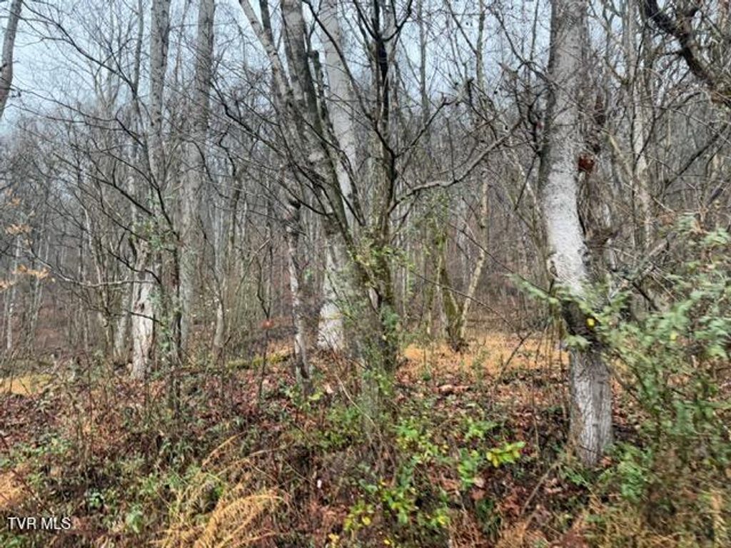 Photo of Tbd Fork River Road, Abingdon, VA 24210 (MLS # 9989391)